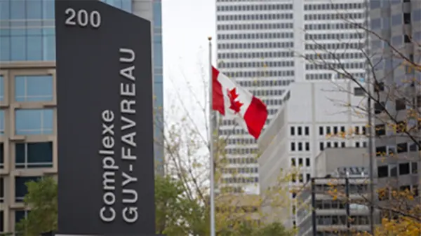 roll-up shades canada